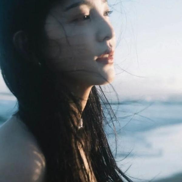 谍战千面龙